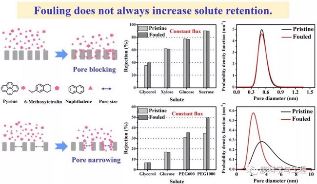 “小”孔里有“大”玄機---納濾膜污染機理新發現 
